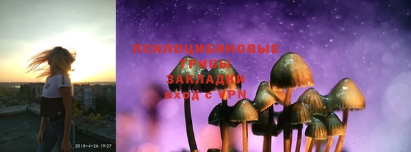 стафф Баксан
