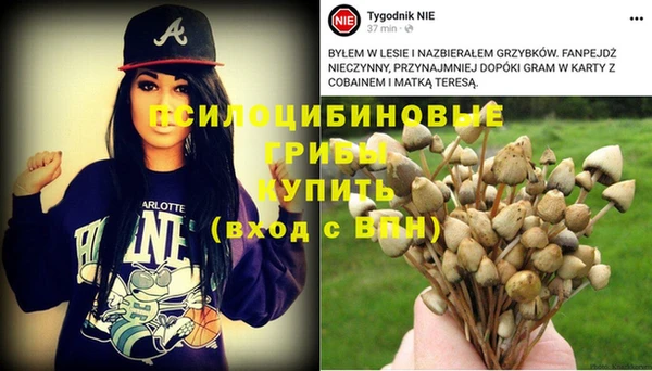 стафф Баксан