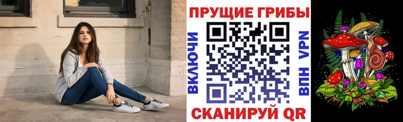 ОМГ ОМГ зеркало  Курганинск  Псилоцибиновые грибы прущие грибы  цены наркотик 